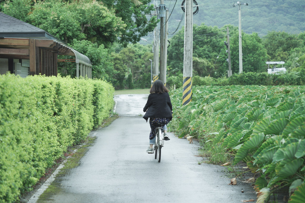 金澤居民宿位於花蓮吉安鄉，是以日式綠建築為主題，民宿緊鄰花蓮木瓜山，在房間內就可以看見美麗的山景好不愜意，在金澤居猶如身處於世外桃源，在台灣小旅行很適合來這裡感受一下花蓮之美。