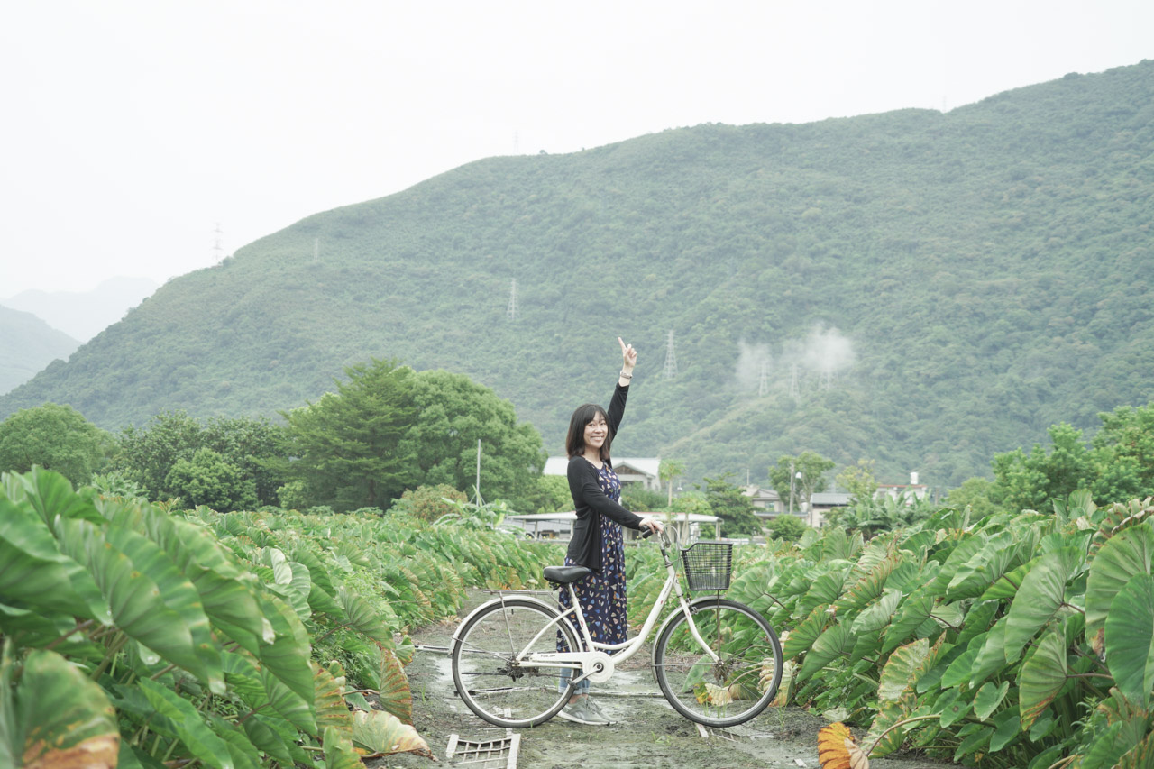 金澤居民宿位於花蓮吉安鄉，是以日式綠建築為主題，民宿緊鄰花蓮木瓜山，在房間內就可以看見美麗的山景好不愜意，在金澤居猶如身處於世外桃源，在台灣小旅行很適合來這裡感受一下花蓮之美。